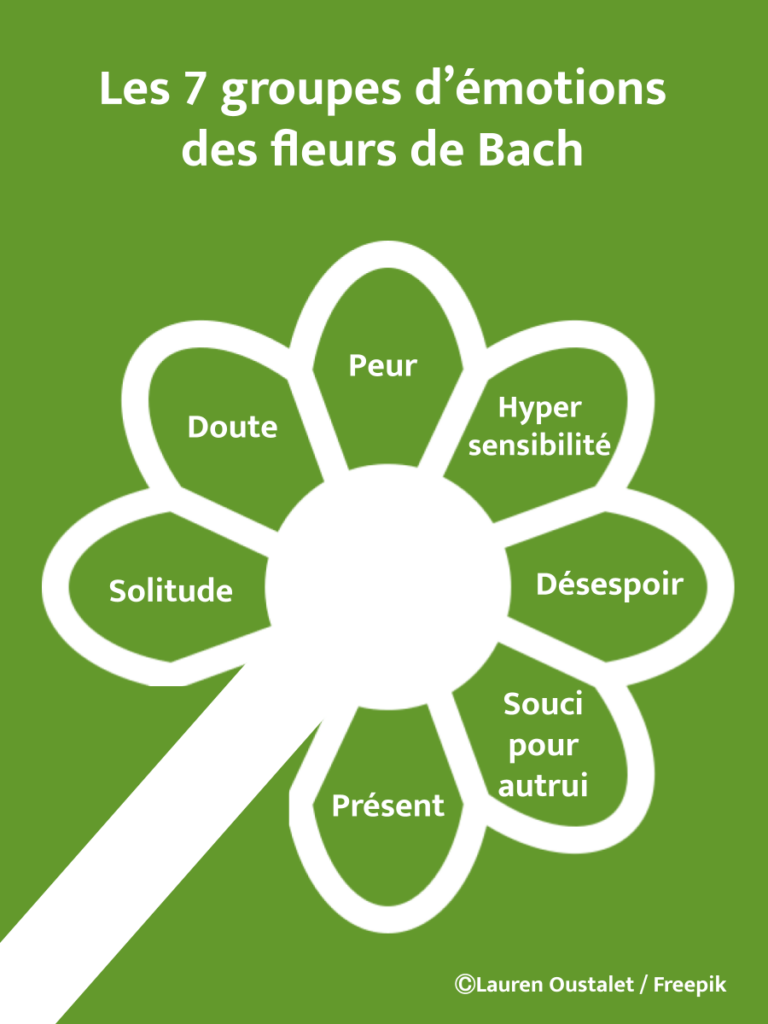 Les élixirs floraux et parmi eux les fleurs de Bach sont des harmonisants naturels particulièrement intéressants